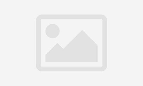 Project Management Path for IT Professionals